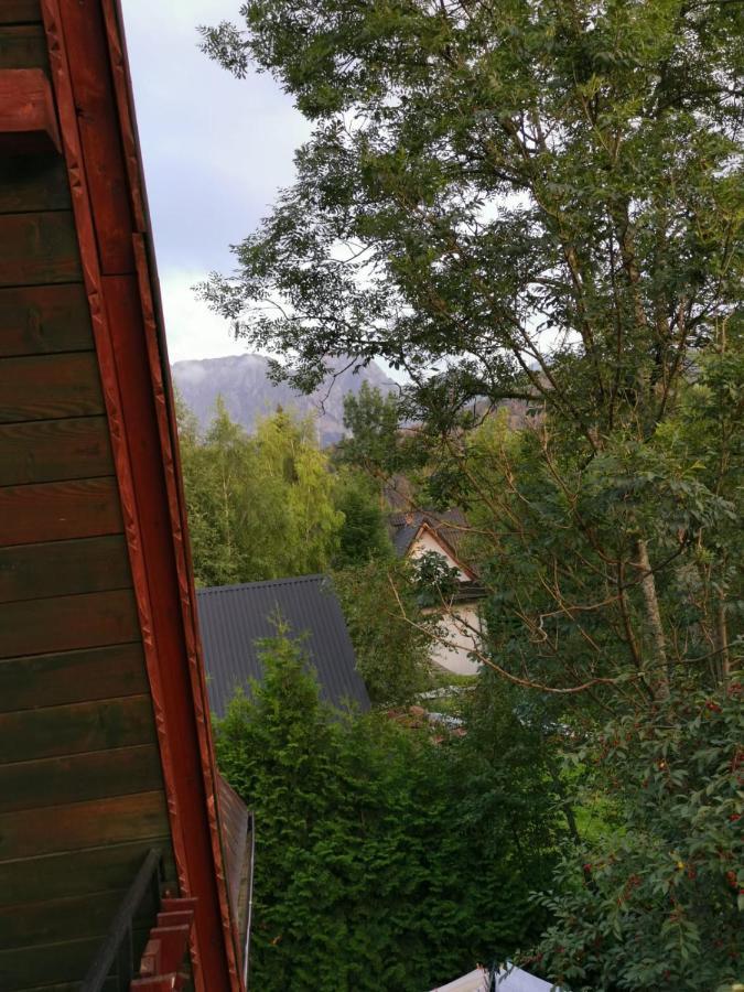 Dom Goscinny U Hanki Zakopane Exteriör bild